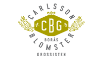 Carlsson Blomstergrossisten Borås